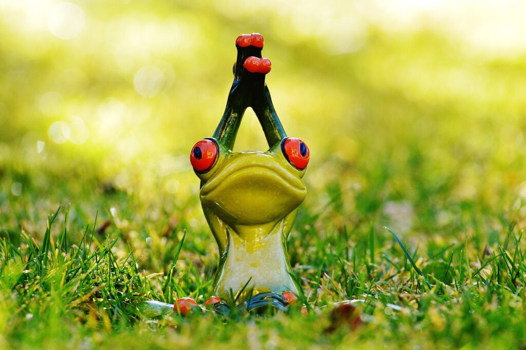 frog, nature, yoga, meadow, figure, animal, green, cute, fun, funny-1109787.jpg